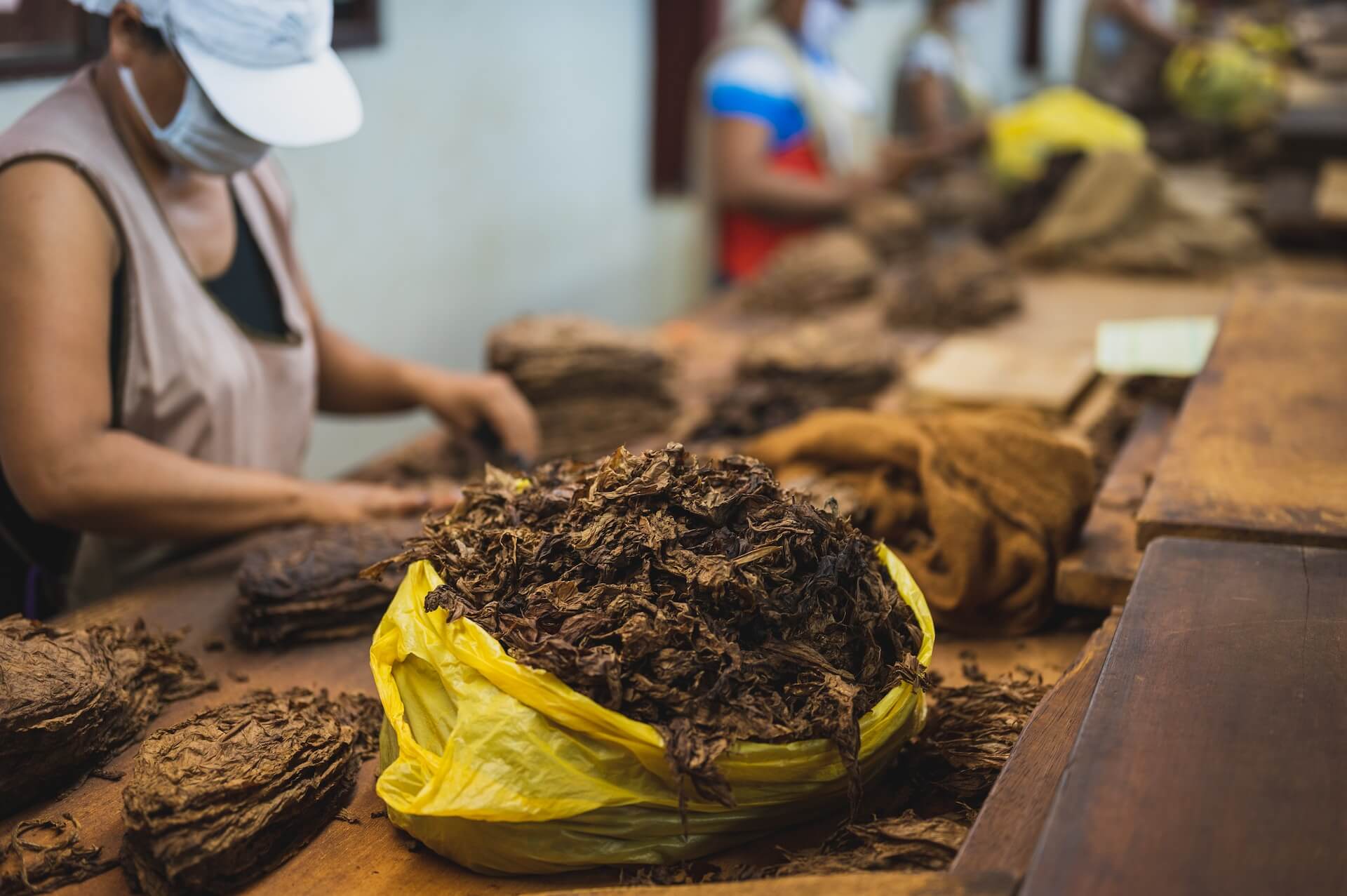 Kautabak im Vergleich zu anderen Tabakprodukten: Die größten Unterschiede, die Snus zu etwas Besonderem machen