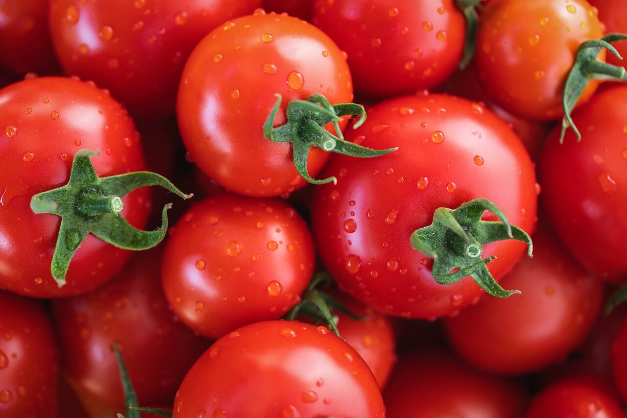 Do Tomatoes Contain Nicotine? Foods You Didn’t Know Contain Nicotine